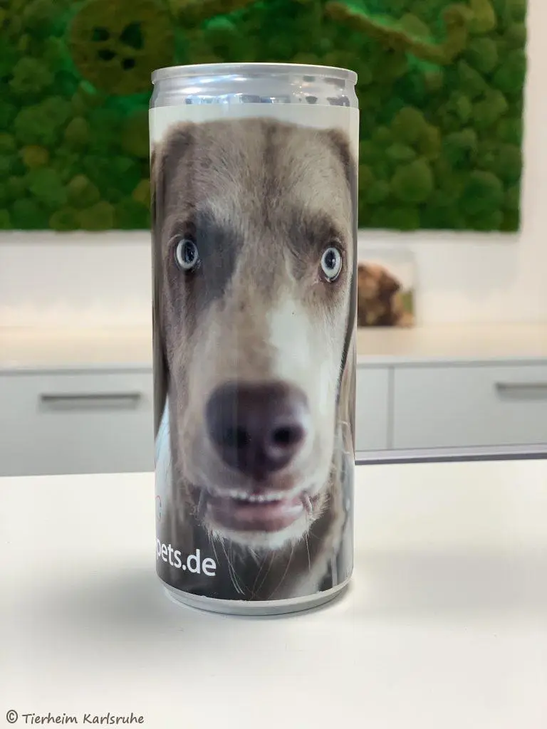 Olav Energy Drink