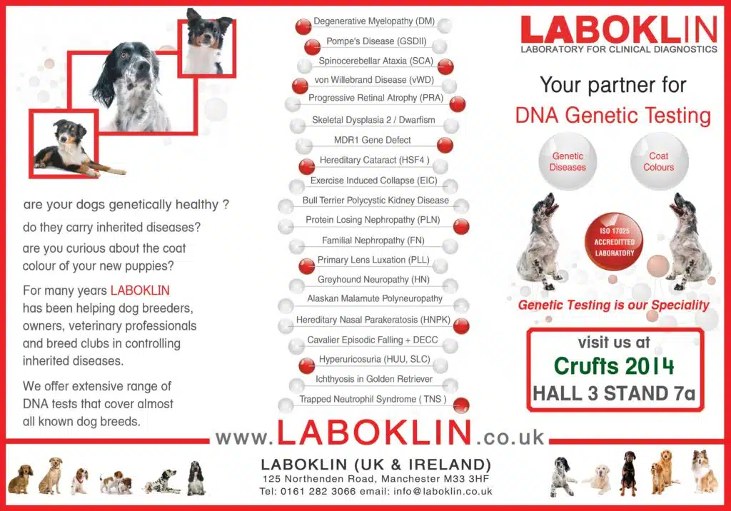 Hereditary diseases of dogs