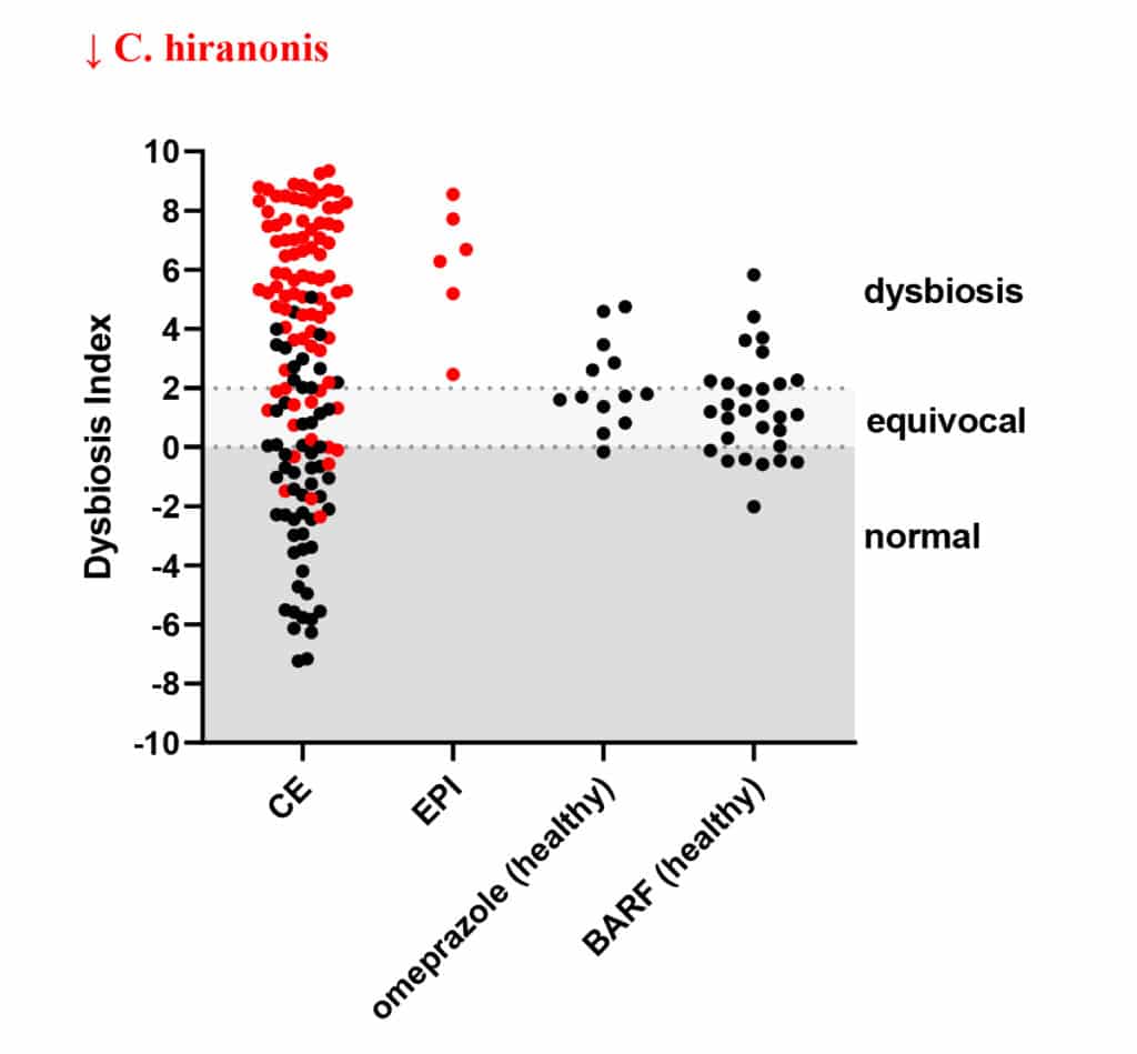 Dysbiosis index dog