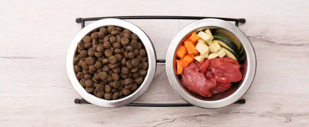 Alimentación óptima para perros