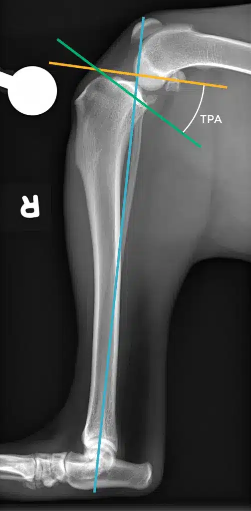 Planning and controlling a TPLO operation